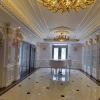Vip Độc Nhất Biệt Thự Tân Cổ Điển Full Nội Thất Tiện Ích Đầy Đủ