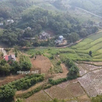 Lô Đất Nghỉ Dưỡng Dành Cho Các Bác Cứ Thích Đất Nhiều Thổ Cư Nhé, Hoặc Nhóm A Chị Nào Muốn Lập Làng