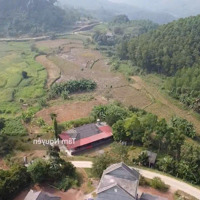 Lô Đất Nghỉ Dưỡng Dành Cho Các Bác Cứ Thích Đất Nhiều Thổ Cư Nhé, Hoặc Nhóm A Chị Nào Muốn Lập Làng