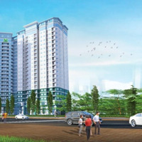 Cho Thuê Gấp Chcc 8X Đầm Sen , 50M2 , 1 Phòng Ngủ 1 Vệ Sinh, Giá 6, 5 Triệu/Th Q.tân Phú