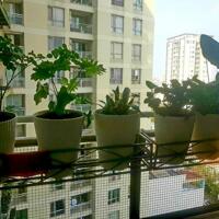 Ann bán căn góc Cc 243A Nguyễn Thượng Hiền 94m2 2PN NTĐ SHCC