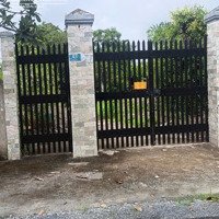 Còn Duy Nhất 1 Lô 1000M2 Full Thổ Cư Giá Rẻ Tại Bình Chánh