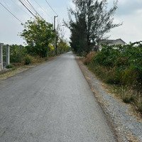 Còn Duy Nhất 1 Lô 1000M2 Full Thổ Cư Giá Rẻ Tại Bình Chánh
