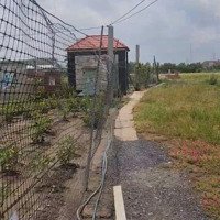 Bán Đất Tại Xã Long Sơn, Cần Đước, Long An, 500 Triệu, 150M2 Giá Tốt