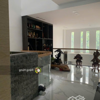 Nhà 6 Tầng (5X20M) Mặt Tiền Trương Văn Bang, Q2 - Có Thang Máy. Kinh Doanh Tốt. Giá Thuê: 60 Triệu/Th