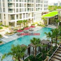 Mặt bằng dự án Cardinal Court Phú Mỹ Hưng