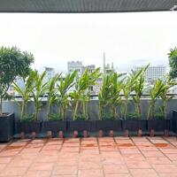 Bán nhà 4 Tầng MT Trịnh Lỗi, (7m5) 11ph Dòng Tiền 35tr/tháng, Khuê Mỹ, Ngũ Hành Sơn 8.2 tỷ
