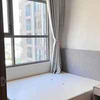 Cho Thuê Chung Cư Carillon 7, Tân Thới Hoà, Tp: 2P Ngủ, 2 Vệ Sinh Nt Mới 13 Triệu/Th