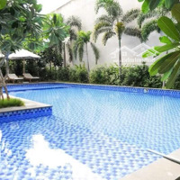 Bán Căn Hộ 8X 9X Gò Vấp - 41M2 1 Phòng Ngủ Bếp, Pk, Full Nội Thất Shr