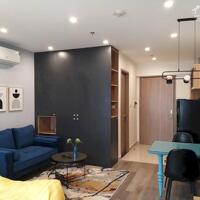 Chính chủ cho thuê căn hộ studio 30m2 full nội thất cao cấp từ 6,5 tr/th Vinhomes Smart City