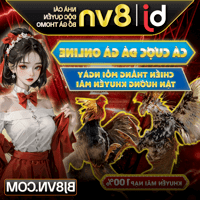 BJ8VN - Cá Cược Đá Gà Online