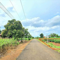 421M2 100M2 Thổ Cư Ngay Ủy Ban Xã Mua Đầu Tư, Buôn Bán, Cho Thuê 215 Triệu Bao Sang Tên Công Chứng