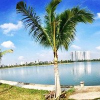 Liền Kề Đường 17M, Nhìn Chung Cư Bán Gấp