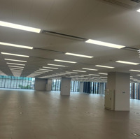 Siêu Hót Cho Thuê 600M2, Mt: 25M Ngay Mặt Phố Hoàng Cầu, Đống Đa Siêu Đắc Địa