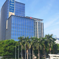 Siêu Hót Cho Thuê 600M2, Mt: 25M Ngay Mặt Phố Hoàng Cầu, Đống Đa Siêu Đắc Địa
