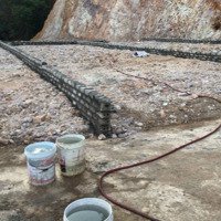 Bán Đất Tại Xã Tiến Dũng, Huyện Yên Dũng, Tỉnh Bắc Giang Giá 3 Triệu/M2