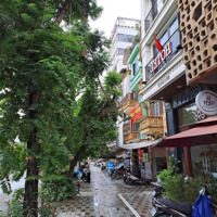Mặt Phố Lớn Nguyễn Trãi -120M2X 7T Lô Góc Thang Máy -Dòng Tiền Gần 2 Tỷ/Năm -Giá Sốc Chỉ 48 Tỷ