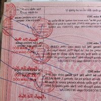 Bán Đất Thổ Cư Xã Hiệp Thanh, Đức Trọng, Tỉnh Lâm Đồng, Vị Trí Đẹp, Cơ Hội Đầu Tư Sinh Lời Cao