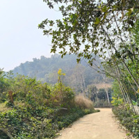 Chủ Gửi Bán Lô Góc, Mặt Tiền Dài, View Thoáng, Gần Đường Tỉnh Lộ. Tại Phú Lội, Minh Quang, Ba Vì Hn
