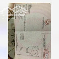 Bán Đất Tại Phước Hòa, Phú Mỹ, Bà Rịa Vũng Tàu, 15,12 Tỷ, 600M2 Chỉ Với Giá Cực Chất