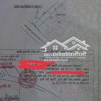 Trục Chính Khu Bàn Cờ Lam Sơn Sát Lô Góc Thích Hợp Đầu Tư