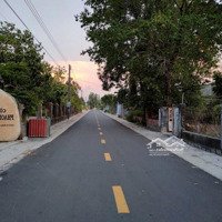 Cắt Lỗ Bán Gấp Bán Đất Đẹp Tại Phước Hòa 250M2, Nhiều Tiện Ích Ở Phú Mỹ, Bà Rịa Vũng Tàu