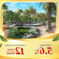 350 Triệu Sở Hữu Căn Hộ Cao Cấp Bcons Avenue Mặt Tiền Xa Lộ Hà Nội Ngay Me Tro Bến Thành Suối Tiên