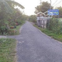 Bán Đất Ruộng Tại Xã Trung Ngãi Vũng Liêm