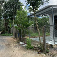 Bán 6.6 Sào Xã Đồi 61, Có Sẵn 300M2 Thổ Cư, Mặt Tiền Kcn Bàu Xéo 2 Giá Cực Rẻ