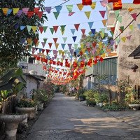 600 Triệu, 100M Tân Bình, Xuân Mai, Chương Mỹ, Hà Nội, Ô Tô, Kinh Doanh, Đang Chờ Sổ