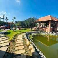 Bán Nhà Vườn Gần 1800M2 Tân Bình Vĩnh Cửu, Chỉ 13,5 Tỷ Tl