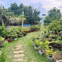 Bán Nhà Vườn Gần 1800M2 Tân Bình Vĩnh Cửu, Chỉ 13,5 Tỷ Tl