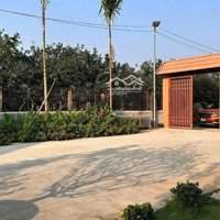 Bán Nhà Vườn Gần 1800M2 Tân Bình Vĩnh Cửu, Chỉ 13,5 Tỷ Tl