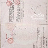 Bán Đất Mặt Tiền Đường Bình Giã, Hắc Dịch, Phú Mỹ, Bà Rịa - Vũng Tàu