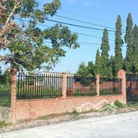 Đất Mặt Tiền Cao Thị Đậu, Phú Mỹ Hưng Củ Chi, 1025M2, 25X41M, Thổ Cư 300M2 Phù Hợp Nhà Vườn, 4.2 Tỷ