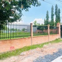 Đất Mặt Tiền Cao Thị Đậu, Phú Mỹ Hưng Củ Chi, 1025M2, 25X41M, Thổ Cư 300M2 Phù Hợp Nhà Vườn, 4.2 Tỷ