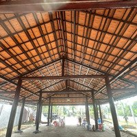 Bán Đất Hoặc Cho Thuê Tại Huyện Lộ 94C, Thới Sơn, Mỹ Tho, Tiền Giang, 21 Tỷ, 3873 M2