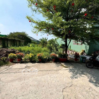 Bán Đất Sổ Hồng Riêng Thạnh Xuân 48 Quận 12