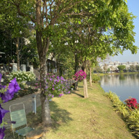 Full Giỏ Hàng Nhà Phố Lakeview City, Nhà Phố 5X20M Chỉ Từ 12,8 Tỷ