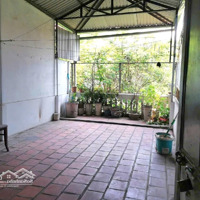 Đầm Trấu-Phân Lô-2 Thoáng-Ô Tô Dừng Đỗ Ngày Đêm-Sơn Sửa Nhẹ Lại Là Đẹp