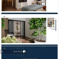 Bán Gấp Nhà Mặt Phố Nguyễn Bỉnh Khiêm- Hai Bà Trưng 190 Tỷ, 262M2, 10 Tầng Hàng Hot
