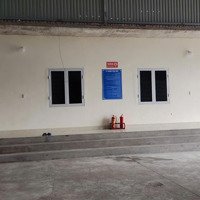 Cho Thuê Kho Xưởng Tại Thôn 2 Xã Liên Xuân Thành Phố Thủy Nguyên Hải Phòng