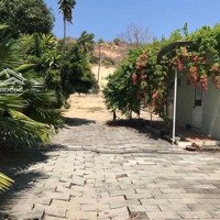 Bán 1296M2 Có 100M2 Tmdv Bán Gấp Giá Rẻ Chỉ 22 Tỷ Liên Hệ: 0798898777 Thạch