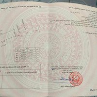 Bán Đất Nền 125 Triệu / M2, 64 M2 Tại Vũ Trọng Khánh, Đằng Giang, Ngô Quyền, Hải Phòng