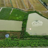 Đầu Tư Đón Đầu Dự Án Sân Bay Gia Bình, Trang Trại Nghỉ Dưỡng 4,39 Ha Đẹp Ngất Ngây...