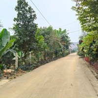 Đất Minh Hồng Minh Quang Ba Vì Hn, Cách Tỉnh Lộ 415 Chỉ Vài Trăm Mét. Giá Bán 2,7Tỷ/2 Sổ Tổngdiện Tích1475M2
