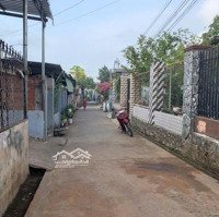 Cần Bán Đất Bảo Vinh, Long Khánhdiện Tích232M2, Full Tc Giá Bán 1.350 Tỷ Tl. Liên Hệ: 0384329615