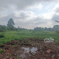 Bán Đất 250M2 Tại Tân Uyên Bình Dương Chỉ 600 Triệu