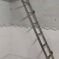 Bán Đất Tặng Trọ Gần Chợ Lai Uyên 220M2 Bàu Bàng, Bình Dương Shr Chỉ 600 Triệu