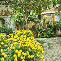 Ba Đình- Bán Biệt Thự Sân Vườn Sang Trọng, Hiện Đại -150M-4 Tầng-54 Tỷ